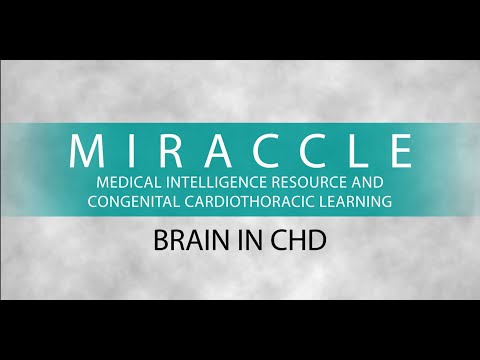 MIRACCLE - Brain in CHD - 03.02.2021