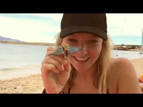 Austria goes Zrce Aftermovie 2017