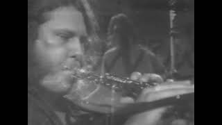 Loggins and Messina - Native Son - 7/9/1976 - Capitol Theatre