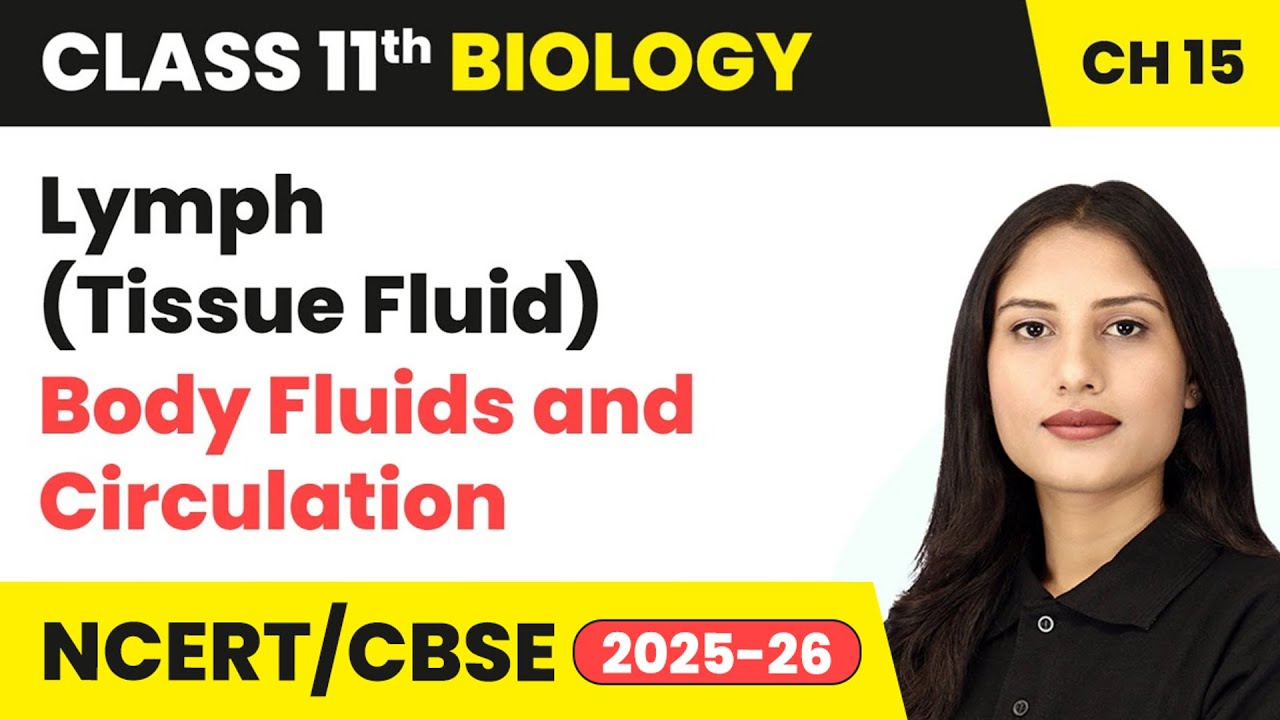 Lymph (Tissue Fluid) - Body Fluids and Circulation | Class 11 Biology Chapter 15 | CBSE 2024-25