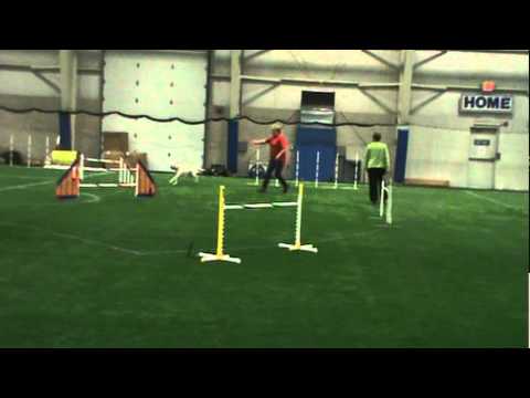 clip 2011 05 15 16;06;14