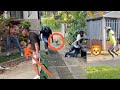 Se Escapó El León Parte 2 Broma Viral Humor