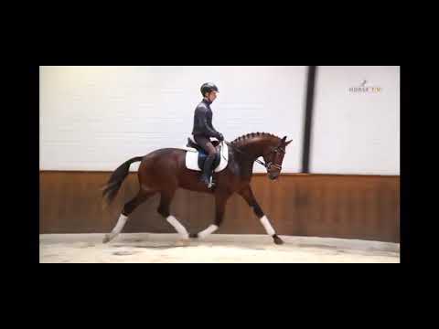 Si Senor M v. Sir Heinrich - De Niro