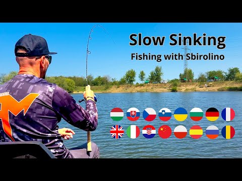 FEEDERMANIA - Slow sinking szerelék bemutató a Koi 1-es tavon. Slow sinking rig demonstration.