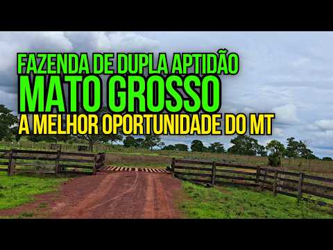 FAZENDA À VENDA RICA EM ÁGUA: 1.505 HECTARES DE DUPLA APTIDÃO NO MT