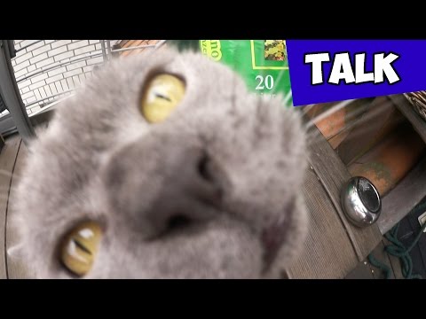 Die nächsten 2 Wochen - Infotalk auf dem Balkon | Toteross