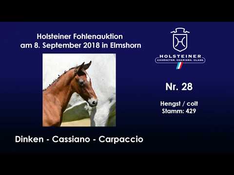 Holsteiner Fohlenauktion | Nr. 28 v. Dinken - Cassiano