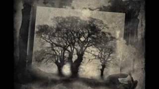 Desiderii Marginis: Blackout
