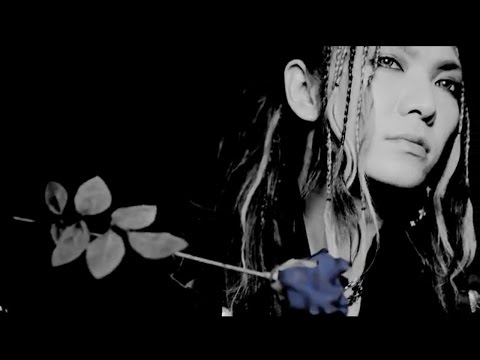 download lagu mp3 mp4 Screw Spiral Of Mistrust, download lagu Screw Spiral Of Mistrust gratis, unduh video klip Screw Spiral Of Mistrust