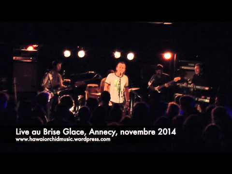 l'Orchidée d'Hawaï, "Short Little Shorts"