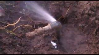 evviva-lo-spreco-dell-acqua-e-io-pago