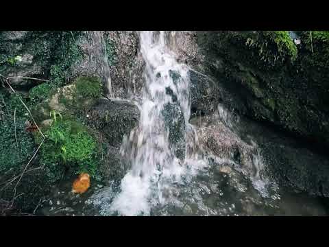 РОВЦА - ИЗВОР