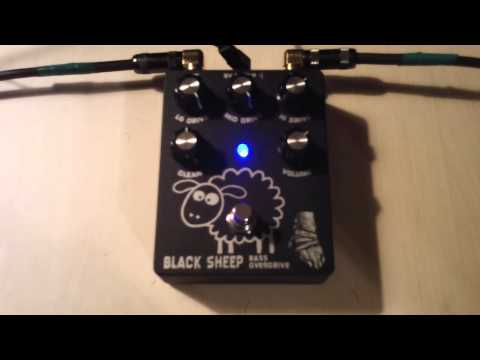 Wounded Paw Black Sheep Bass Overdrive Demo Pt. 2
