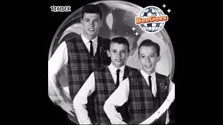Bee Gees-Timber 1965