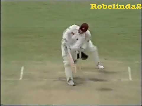 Allan Border 98 vs South Australia 1995  | robelinda