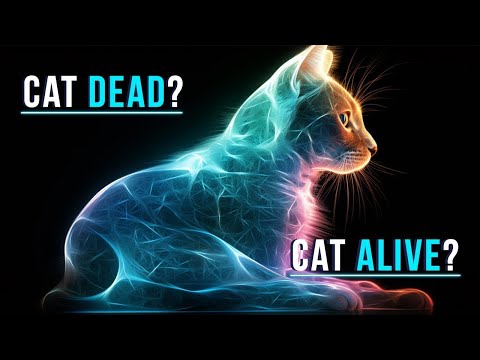 What Is Schrodinger's Cat Explained