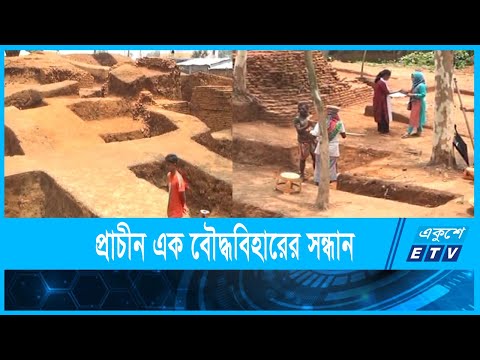 ঢিবি খনন করে সন্ধান মিললো প্রাচীন বৌদ্ধ বিহারের