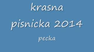 ROMSKÉ PÍSNĚ 2014 ROMSKÉ PÍSNĚ 2014