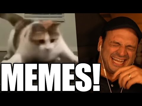 Kaya reacts to UNUSUAL MEMES