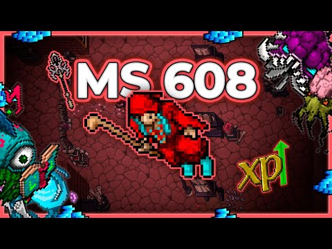 MS 608 Hunt x4 (Hardcore PvP) Secret Library Energy Section 18.3kk/h (225%) #tibia #tibiahunt #hunts