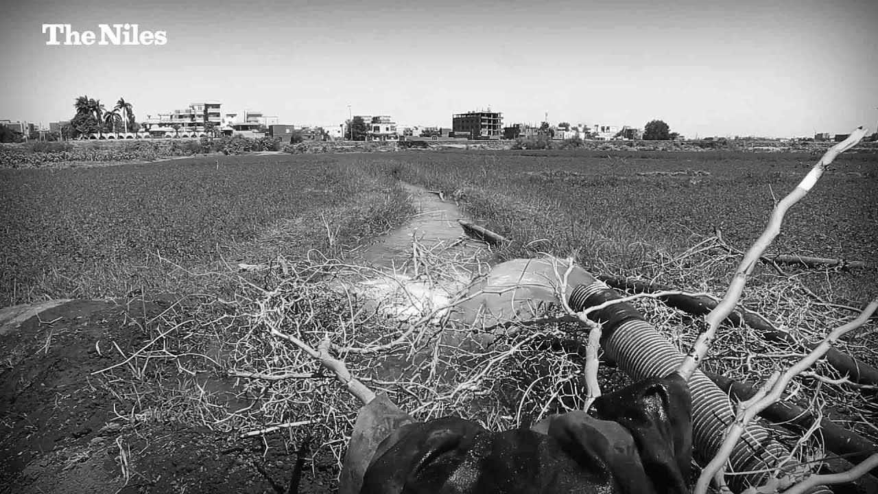 Sudan’s poisoned waters: How war is contaminating the Nile