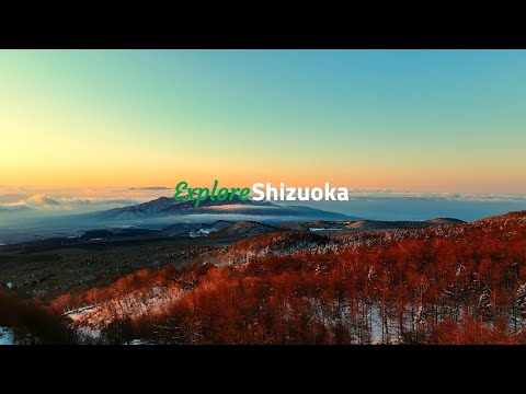 【4K】East Fuji Nature Hike private tour (English) | Explore Shizuoka