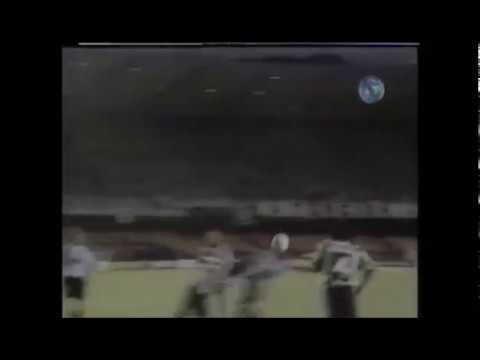 Jardel (Grêmio) - 01/05/1996 - Botafogo 1x1 Grêmio - 1 gol