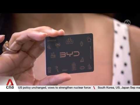 BYD launches lifestyle card offering perks, discounts across 88 brands for car owners