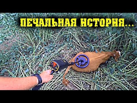 Печальная история... / Семья в деревне