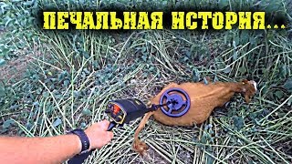 Печальная история... / Семья в деревне