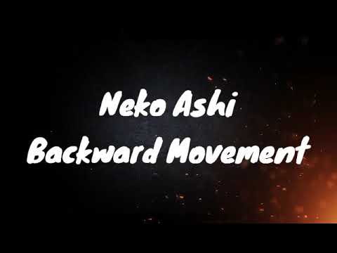 Neko Ashi Dachi Moving Basics