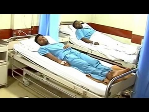 14 Dead, 650 New Cases This Year as Mumbai Battles Dengue