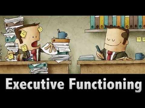 MIND MATTERS:  Executive Functioning
