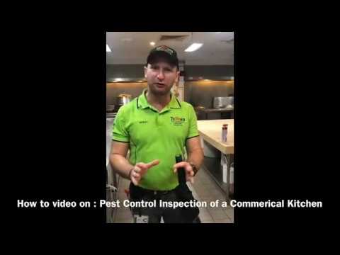 How to do a General Pest Control Inspection in a Commercial Kitchen for restaurants or cafes.