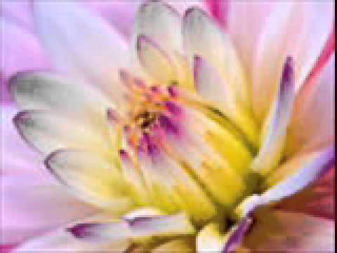 SURAIYA MULTANIKAR -- WOH JIS KA RANG -- PAK RADIO GHAZAL