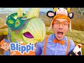 Dinosaurs Animals Advenuture With Blippi Animal Museum Educational Videos For Kids
