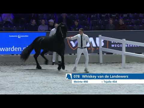 HK 2026 – Rubriek 1 Deel 1 – Donderdag 15 januari  – Tweede bezichtiging