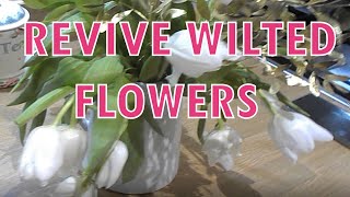 How to Revive Wilted Cut Flowers