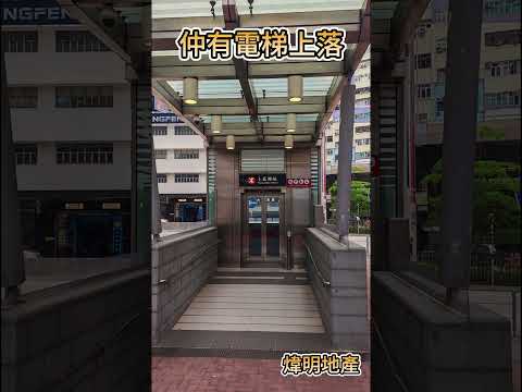 Loyal Mansion Youtube Video