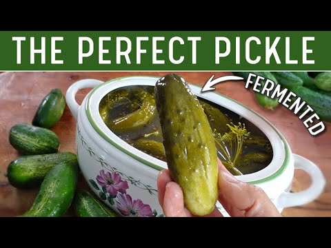 FERMENTED PICKLES - The Best Old Fashioned Dill Pickle Recipe! (No Rambling)