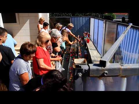 Mnoštvo hodočasnika blagdan Velike Gospe proslavilo u Vrpolju