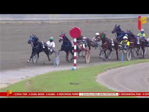 III corsa del 31 maggio 2023 - 4 Anni - Metri 1600