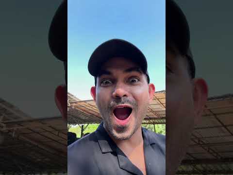 temenin beli sapi yuk