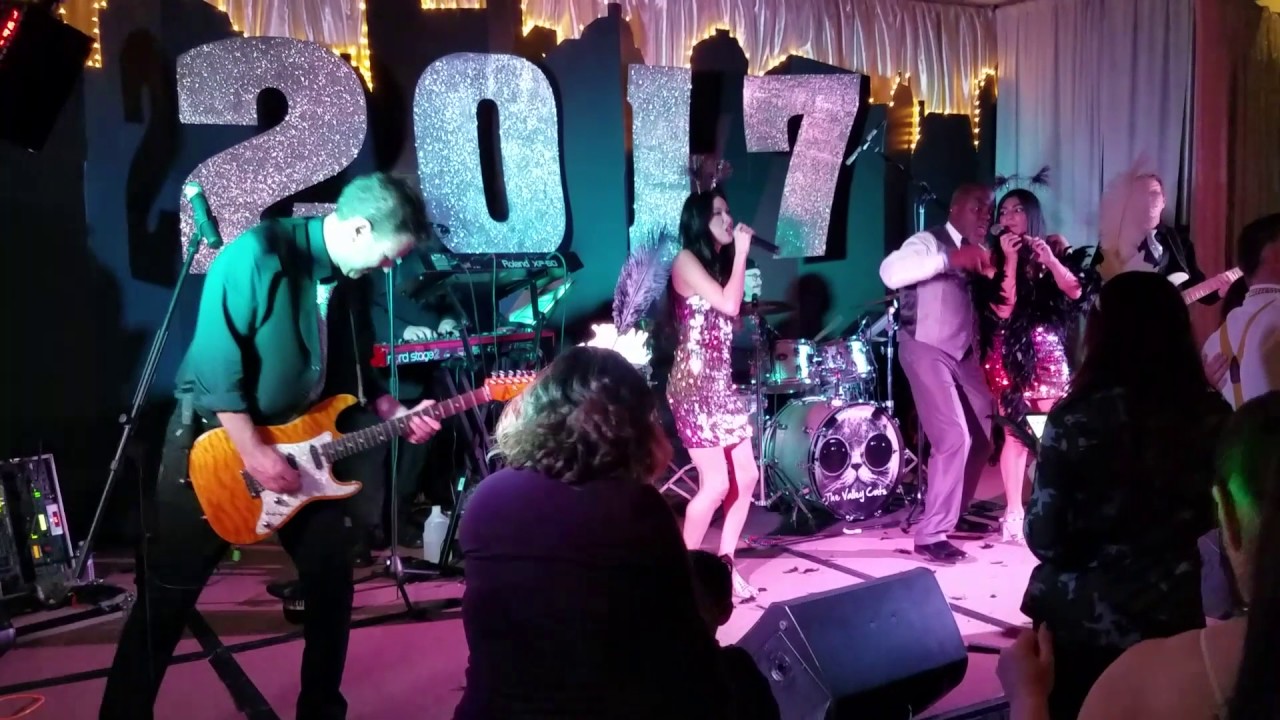 Promotional video thumbnail 3 for The Valley Cats Band