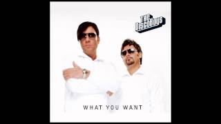 The Disco Boys - What You Want (DJ DLG Remix) [2007]