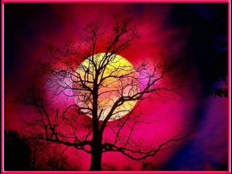 download lagu mp3 mp4 Download Mp3 Free Lagu Ditakdir Kita Bersama mac Rahayu, download lagu Download Mp3 Free Lagu Ditakdir Kita Bersama mac Rahayu gratis, unduh video klip Download Mp3 Free Lagu Ditakdir Kita Bersama mac Rahayu