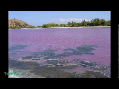 TASI TOLU - Ano Mintha