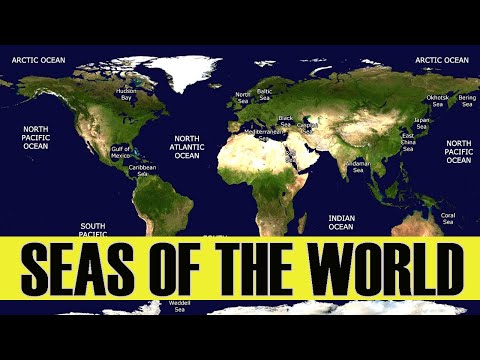 Seas of the World || Seas in the World || List of seas - World Geography