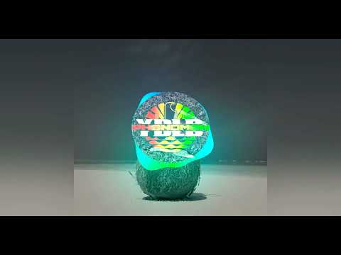 DJ PHENOMEN SAH | TEHEI BIRTH | BASS 2021