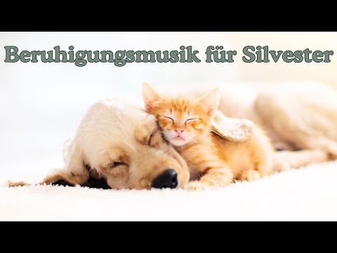 🐾 Sanfte Beruhigungsmusik für Hunde und Katzen an Silvester 🎶✨ – 11,5 Stunden pure Entspannung